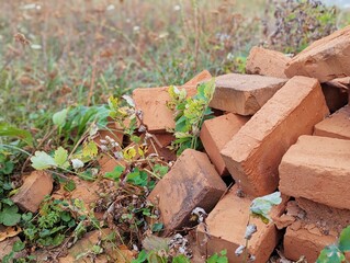 A pile of bricks in nature