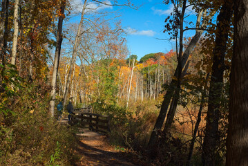 Scenic path along the valley floor amid autumn colors in Rocky River Reservation, part of the Greater Cleveland Ohio metro parks system