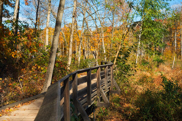Small bridge over a creek amid autumn colors on the valley floor of Rocky River Reservation, part of the Greater Cleveland Ohio metro parks system