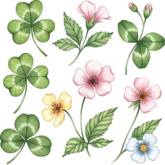 Fototapeta premium Watercolor Wildflower and Clover Leaf Illustration Set
