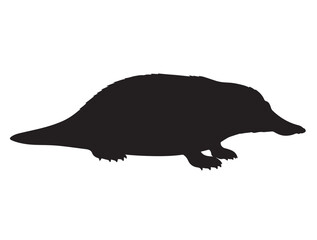 Platypus on black and white in silhouette white background.