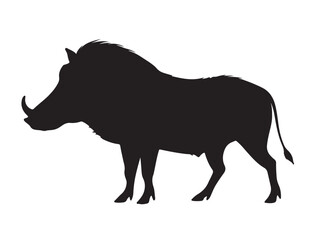 Warthog on proximity in silhouette white background.
