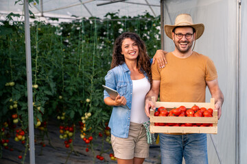 Indoor Greenhouse Scene with Diverse Couple Harvesting Fresh Tomatoes Smiling Together