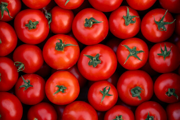 Close Up Of Fresh Red Tomatoes With Green Stems And Vibrant Smooth Skin