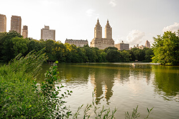 The skyline of Manhattan reflects beautifully in the calm lake of Central Park during golden hour. Lush trees, soft clouds, and peaceful water create a serene urban landscape.