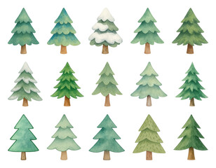 Obraz premium PNG Watercolor evergreen trees collection, element set on transparent background