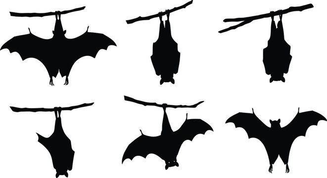 Silhouette vector illustration of bats hanging upside down on branches and flying with wings spread, spooky Halloween concept, black design icons art