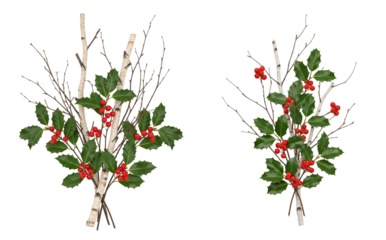 Winter holly and birch branch bundle with red berries and green leaves isolated on transparent background for seasonal floral decoration design