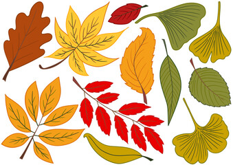 Obraz premium Set of illustrations for postcards, flyers, banners