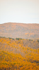 desert landscape in the morning