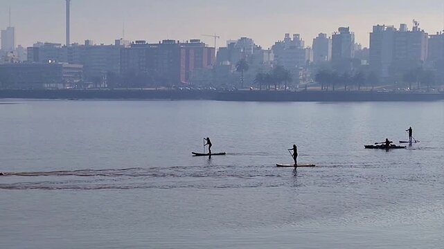 Long shot video of a group of a people practicing paddle surfing at playa ramirez, rio de la plata river, parque rodo neighborhood, montevideo, uruguay