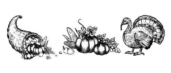 Compositions for Thanksgiving Day - Cornucopia with harvest, Pumpkins, grape and corns, Turkey bird in vintage linear style. Hand drawn vector illustration isolated. Horizontal border for thanksgiving