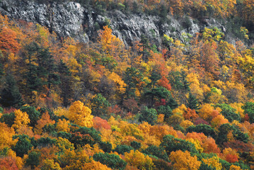 autumn-fall-beautiful-colorful-forest-mountain-new-england