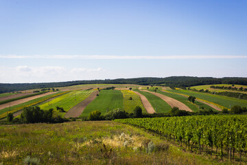 A vibrant rural landscape with alternating strips of green, yellow, and brown farmland stretching...