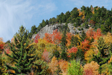 AUTUMN- Colorful Fall Leaves in the New York Mountains