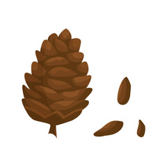 Pine cone character, cartoon autumn tree fir cone seed. Christmas pinecone icon. Winter holiday forest Xmas decoration for New Year isolated on white background. Nature vector illustration