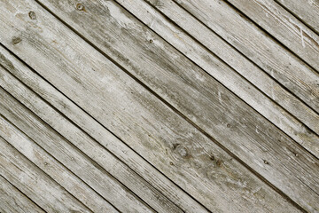 Obraz premium grey rough wooden plank wall background with free space