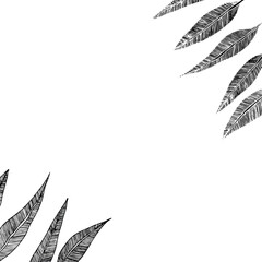 Floral frame with eucalyptus leaves on white background. Ornate border. Vector hand drawn illustration for wallpaper, posters, card. Doodle style. Copy space.