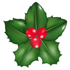 Christmas poinsettia isolated on white background