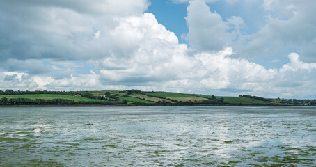 Waters meet green hills in West Cork under a partly cloudy sky. Patches of growth float on the water. The sky is filled with white clouds on a sunny day.