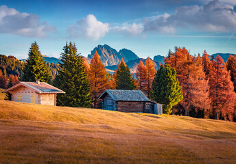 Attractive autumn view of Alpe di Siusi ski resort. Gorgeous morning scene of Dolomite Alps, Ortisei locattion, Italy. Beauty of countryside concept background.