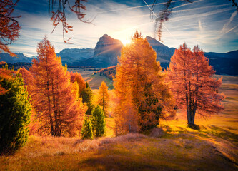 Fantastic morning view of Alpe di Siusi mountain plateau with beautiful yellow larch trees and Langkofel peak on background. Stunnig autumn sunrise in Dolomite Alps, Ortisei locattion, Italy, Europe.