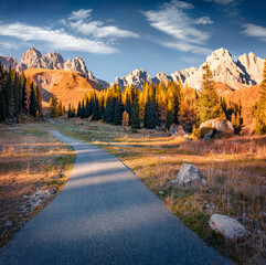 Gorgeous autumn view of winding country road in Fuchiade valley. Exciting morning landscape of Dolomite Alps. Adorable outdoor scene of Italy, Europe. Traveling concept background.