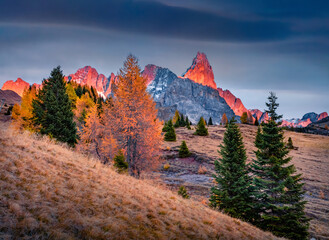 Dramatic autumn sunset with illuminated Cimon della Pala peak. Captivating evening view of Dolomite Alps. Majestic outdoor scene of Italy, Europe. Traveling concept background.