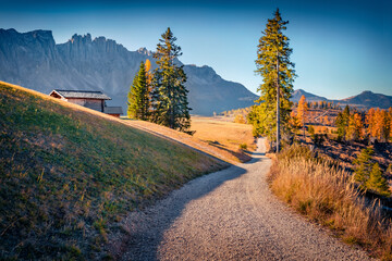 Colorful autumn view of Dolomite Alps with country road on the top of Nigrapass. Splendid morning scene of Italian countryside, Italy, Europe. Beauty of nature concept background.