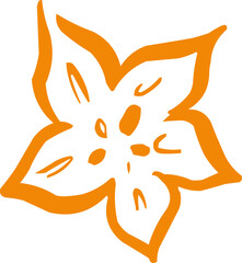 Hand drawn fruit . Ink logo,  icon. Vector illustration. Star fruit 