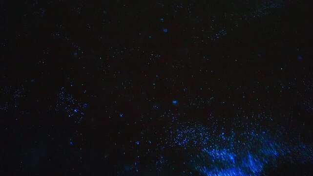 Closeup of bioluminescence (Noctiluca scintillans) in the waves