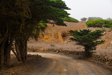 Scenic landscape of El Sabinar, El Hierro Island, Canary Archipelago, Spain, Europe	