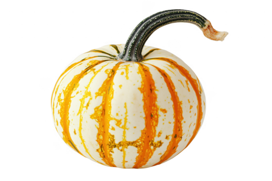 Striped gourd with curved stem isolated on a transparent background