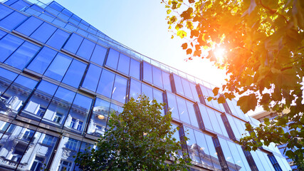 Glass office building surrounded with green trees.  Eco-friendly office building. Sustainable architecture of city reducing heat carbon dioxide modern city environment.