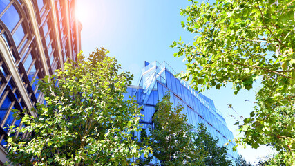 Glass office building surrounded with green trees.  Eco-friendly office building. Sustainable architecture of city reducing heat carbon dioxide modern city environment.