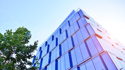 Glass office building surrounded with green trees.  Eco-friendly office building. Sustainable architecture of city reducing heat carbon dioxide modern city environment.