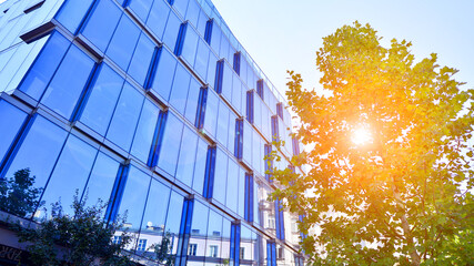 Glass office building surrounded with green trees.  Eco-friendly office building. Sustainable architecture of city reducing heat carbon dioxide modern city environment.