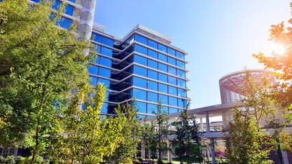 Glass office building surrounded with green trees.  Eco-friendly office building. Sustainable architecture of city reducing heat carbon dioxide modern city environment.