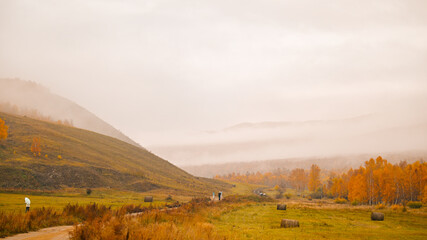 Fototapeta premium autumn landscape in the mountains