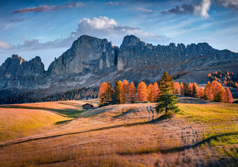 Orange larch trees forest on the top of Alpine pass. Stunning autumn scene of Dolomite Alps. Colorful morning view of Italian countryside, Italy, Europe. Beauty of nature concept background.