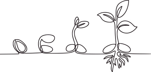 Seedling growth stages from seed to plant sprout