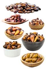 pinhão seeds, the seed of the araucaria, a tree found in the South and Southeast of Brazil, consumed cooked or roasted, mainly in autumn and winter, isolated white background