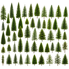 Fototapeta premium Array of various green coniferous trees against a black background