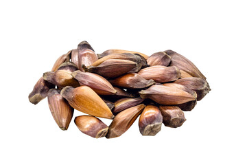 pinhão seeds, the seed of the araucaria, a tree found in the South and Southeast of Brazil, consumed cooked or roasted, mainly in autumn and winter, isolated white background