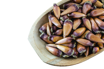 pinhão seeds, the seed of the araucaria, a tree found in the South and Southeast of Brazil, consumed cooked or roasted, mainly in autumn and winter, isolated white background