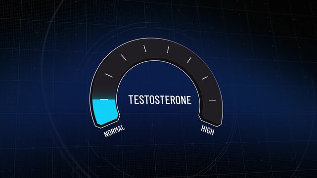 Testosterone hormone level meter, male androgen production gauge, digital presentation sliding from normal to high and back, problems of hormonal disbalance, copy space