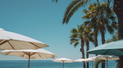 Tropical beach scene with palm trees and sun umbrellas against a vibrant blue ocean and sky