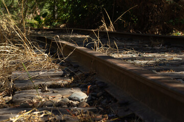 Fototapeta premium Train Tracks Through Overgrown Grass and Stones in a Serene Wooded Area on a Sunny Day