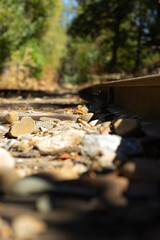 Railway Tracks Lined With Pebbles and Surrounded by Trees in Bright Daylight During Autumn Season