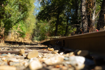Scenic View of Railway Tracks Surrounded by Trees During a Sunny Day in a Quiet Forest Area